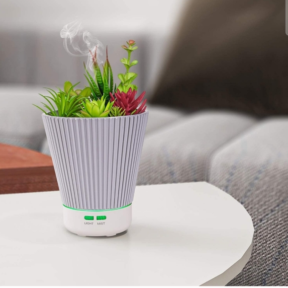 Succulent Diffuser and essential oil set - Picture 4 of 11